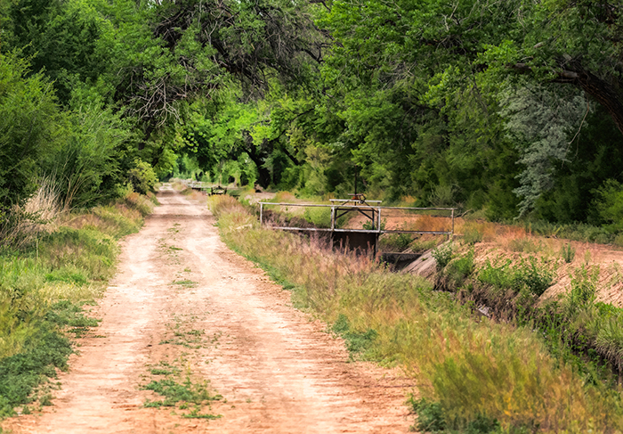 New Mexican Acequia