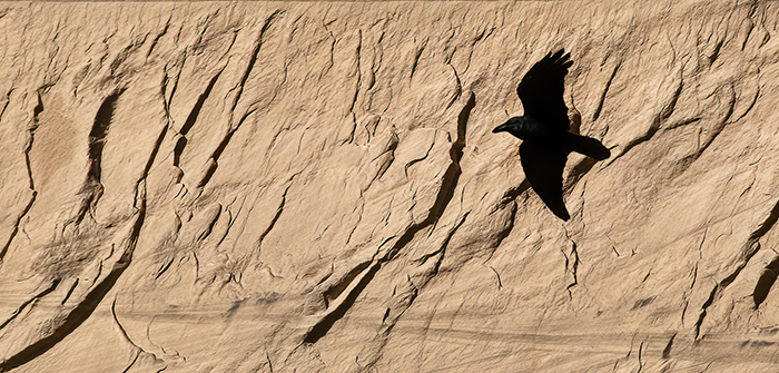 Flight of the Raven, Canyon de Chelly
