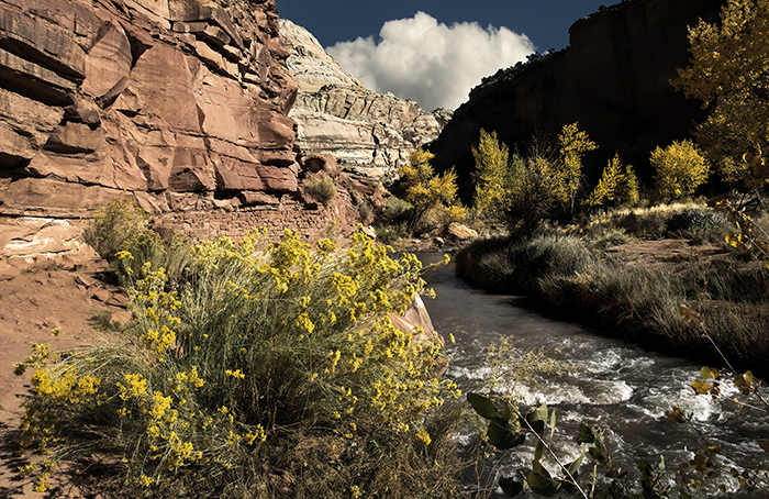 Capitol Reef National Park