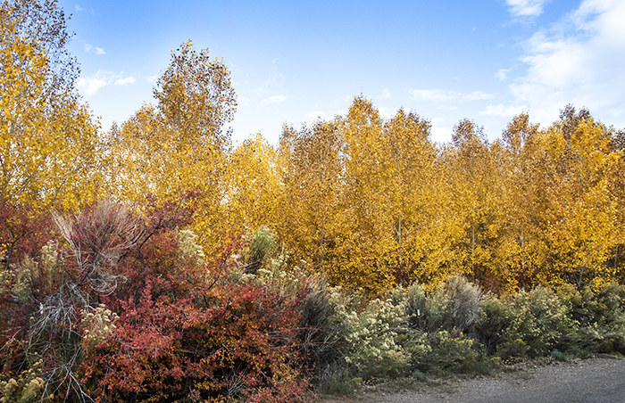 Jemez Springs