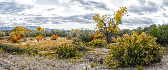 Jemez Springs