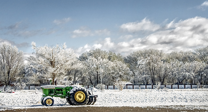 Late Spring Snowfall