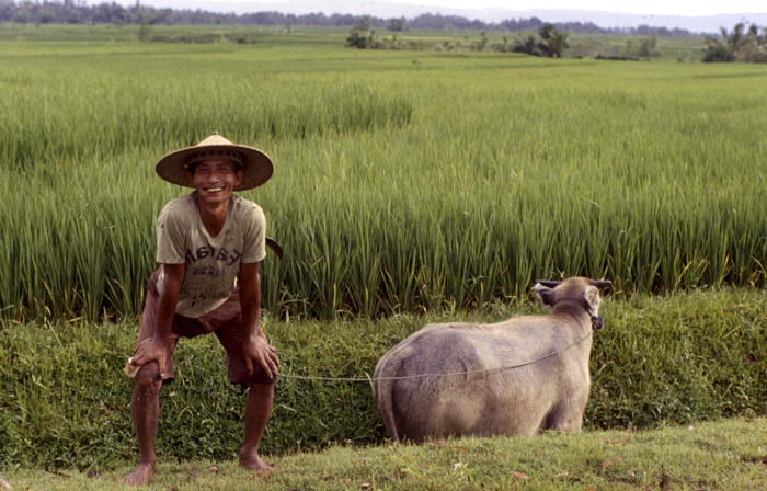 Bali Farmer