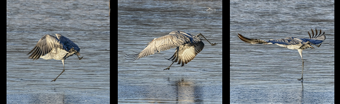The Takeoff on Ice
