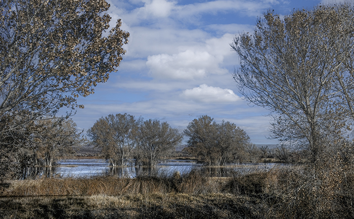 Morning Calm on the Refuge