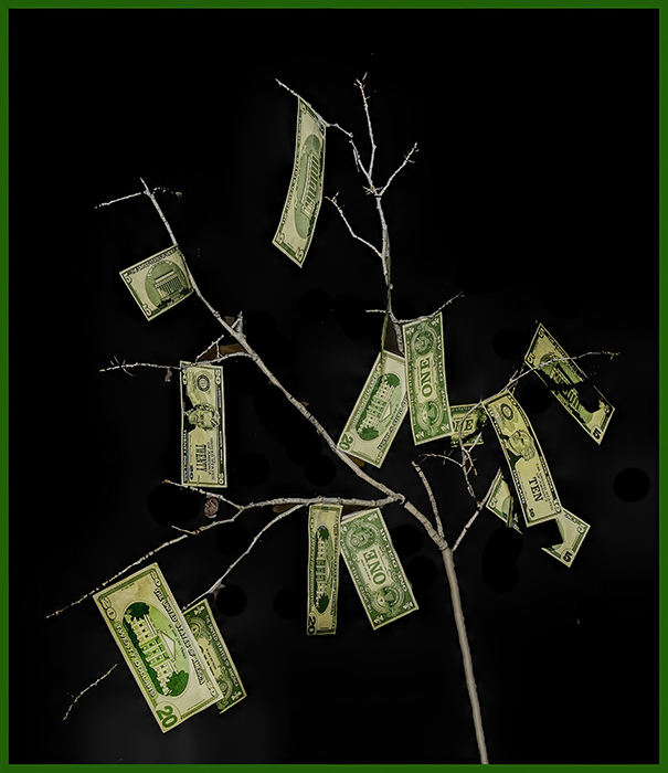 A Money Tree for the Teacher