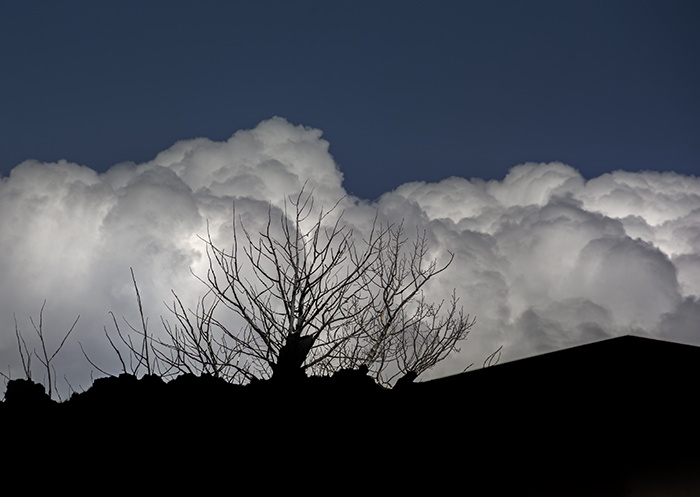 Marshmallow Clouds