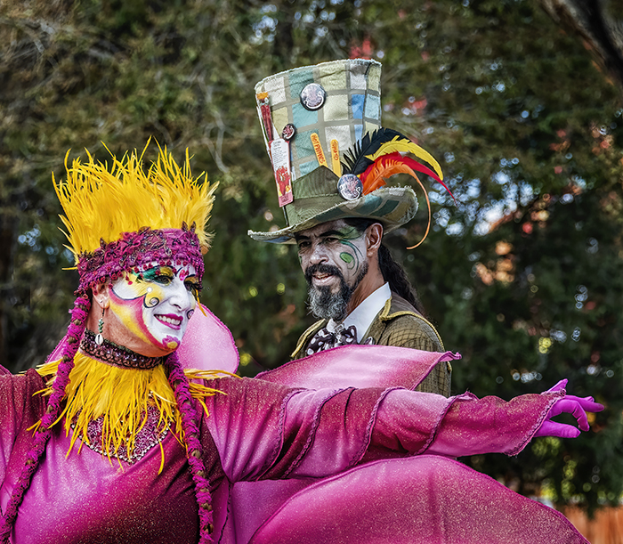 The Mad Hatter and the Princess