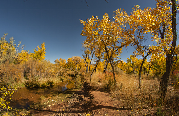 Jemez Springs