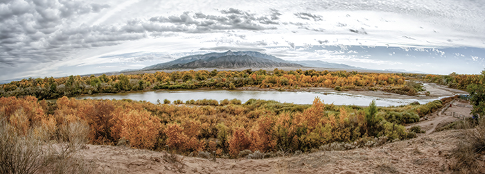 North  Beach, Rio Grande and the Sandias