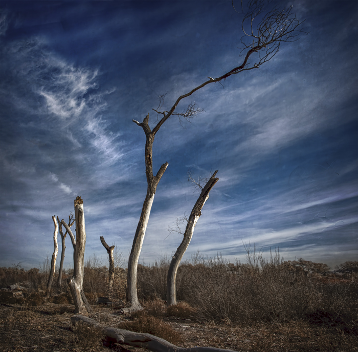 Cottonwood Graveyard, Romero Road