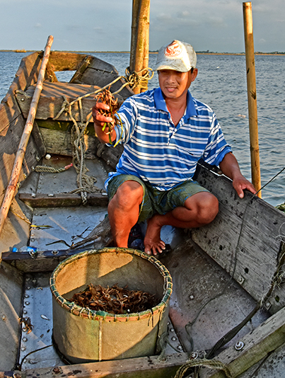 Crabs Caught
