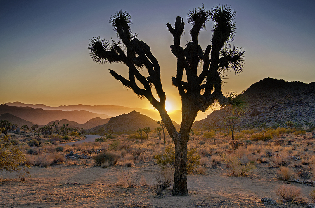 High Desert Sunset