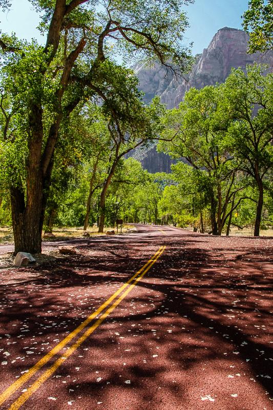 Red Roads Of Zion