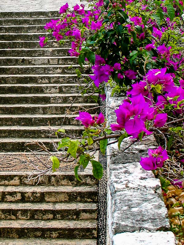 Xcaret Eco Theme Park