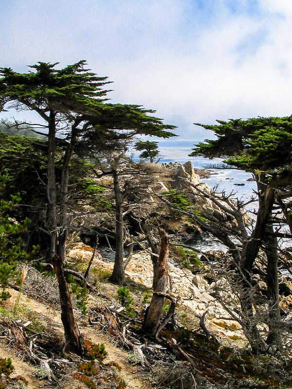 Pebble Beach - 17 Mile Drive