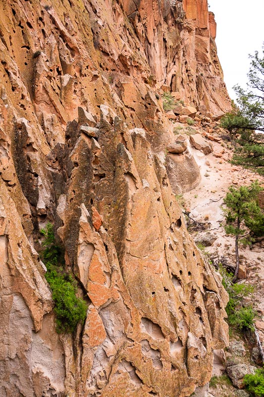 Canyon Wall
