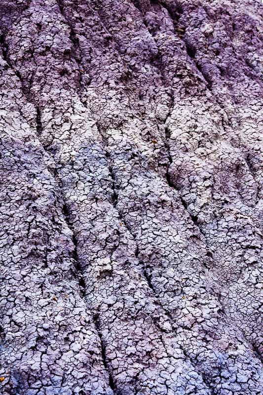 Hillside Closeup