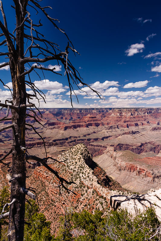 40D_09229_LR