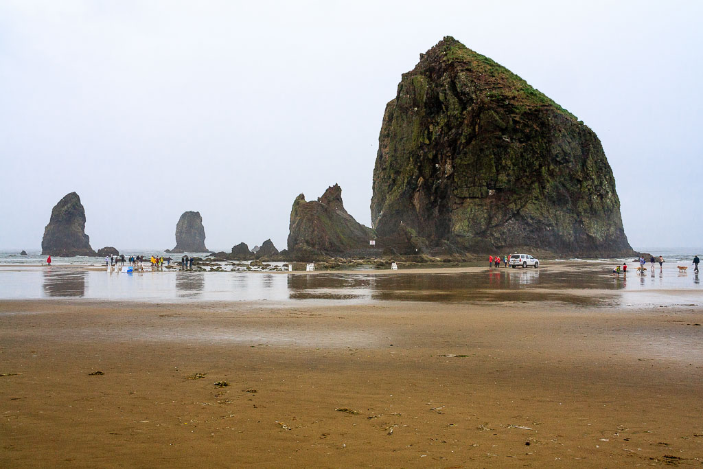 Park Ranger and Haystack Rock