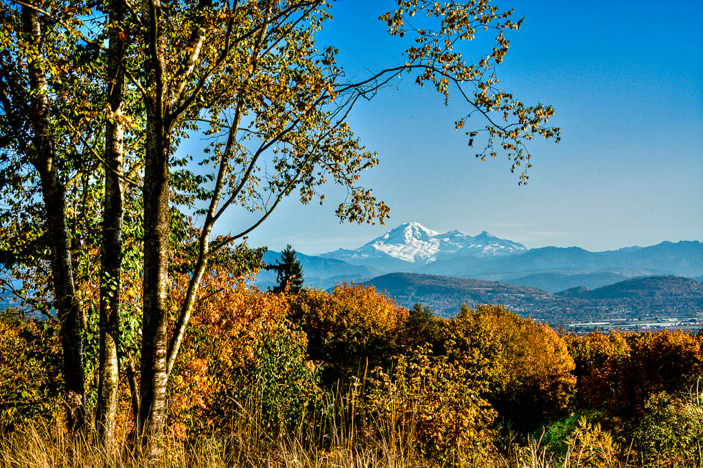 40D_01676_HDR