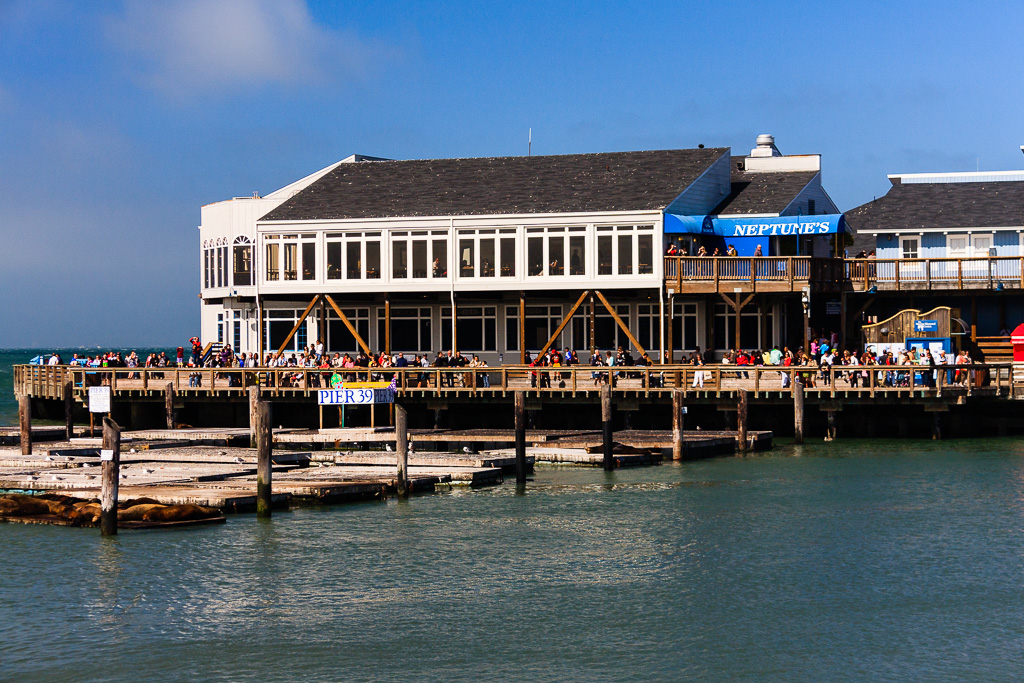 Pier 39 and Sea Lions