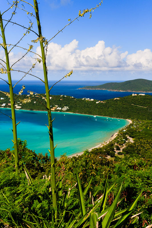 Magens Bay