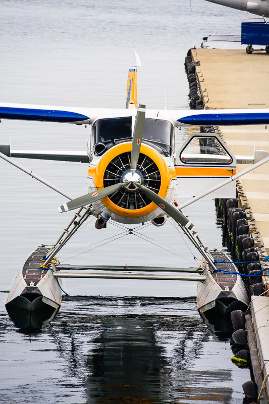 Harbour Air Charters