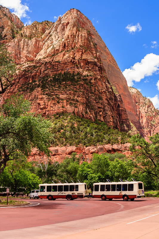 The Park Shuttle Bus