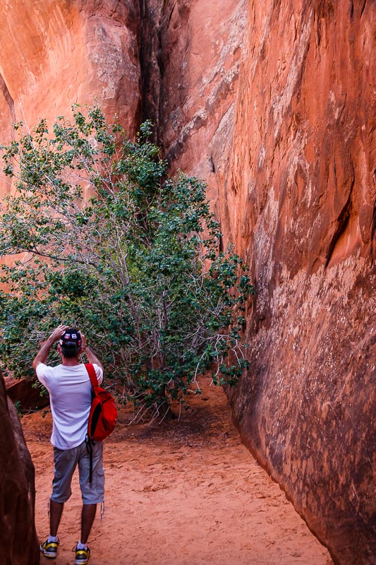 Path At Sand Dune Arch