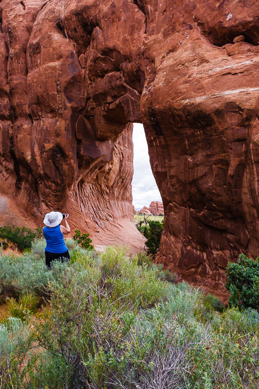 Pine Tree Arch