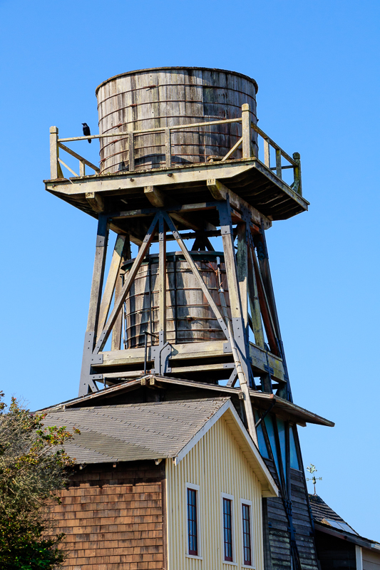 7D2_1588_LR