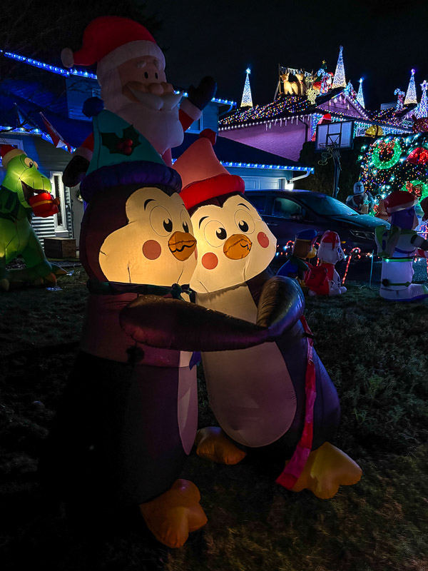 IMG_3771_LR