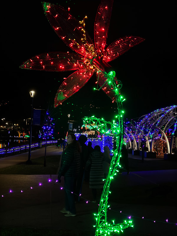 IMG_3887_LR