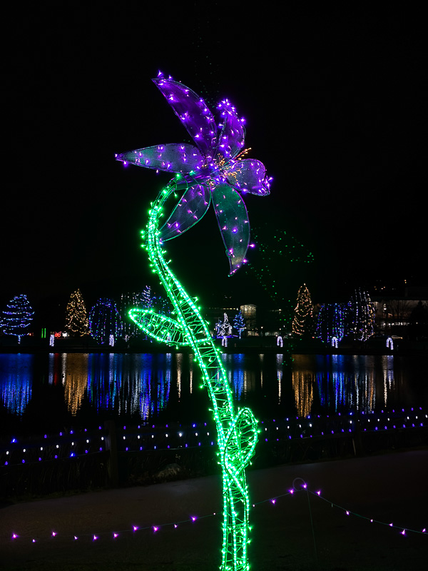 IMG_3889_LR