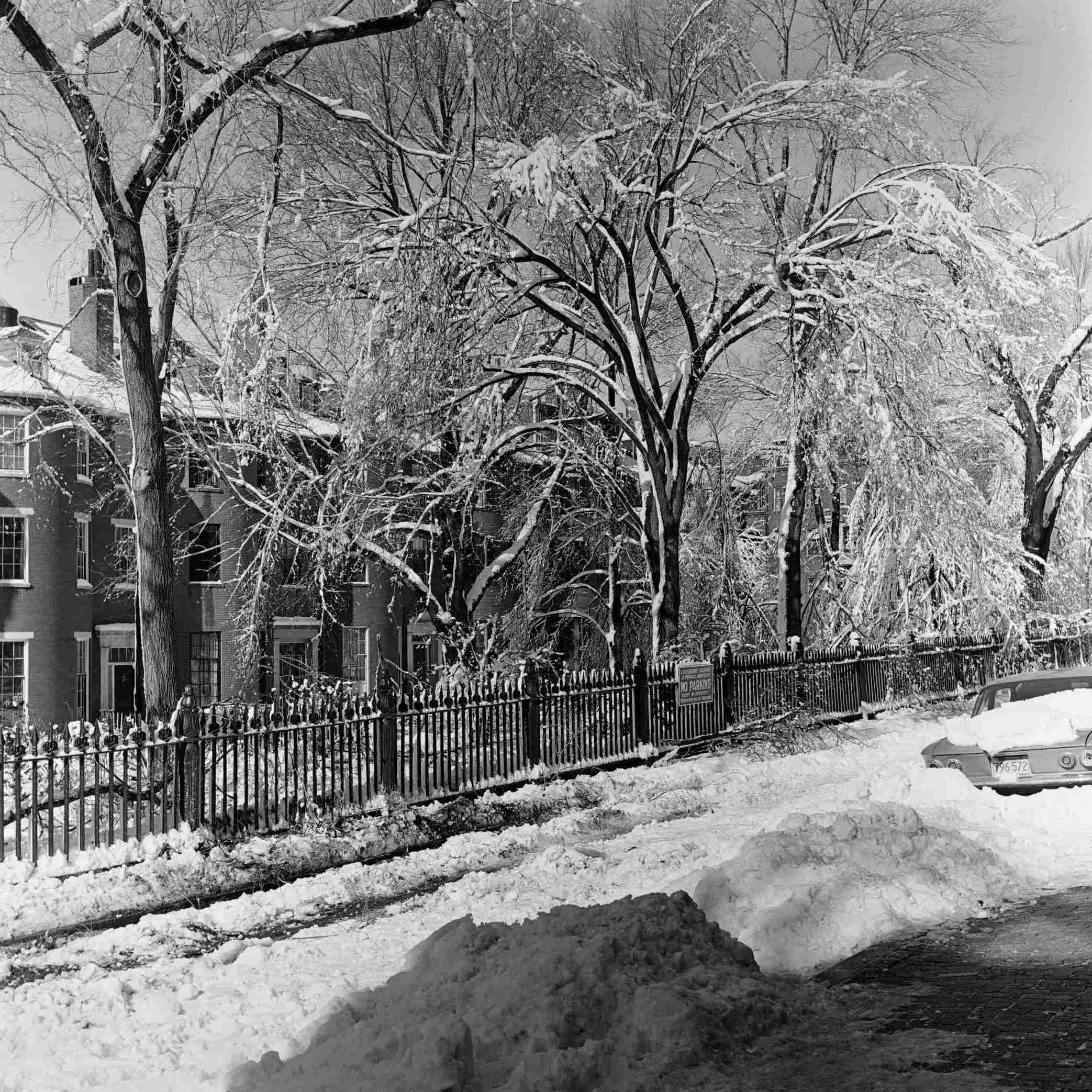 Beacon Hill Snow