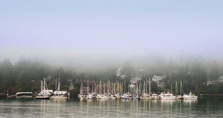 Fog in Eagle harbor_Pat Egaas.jpg