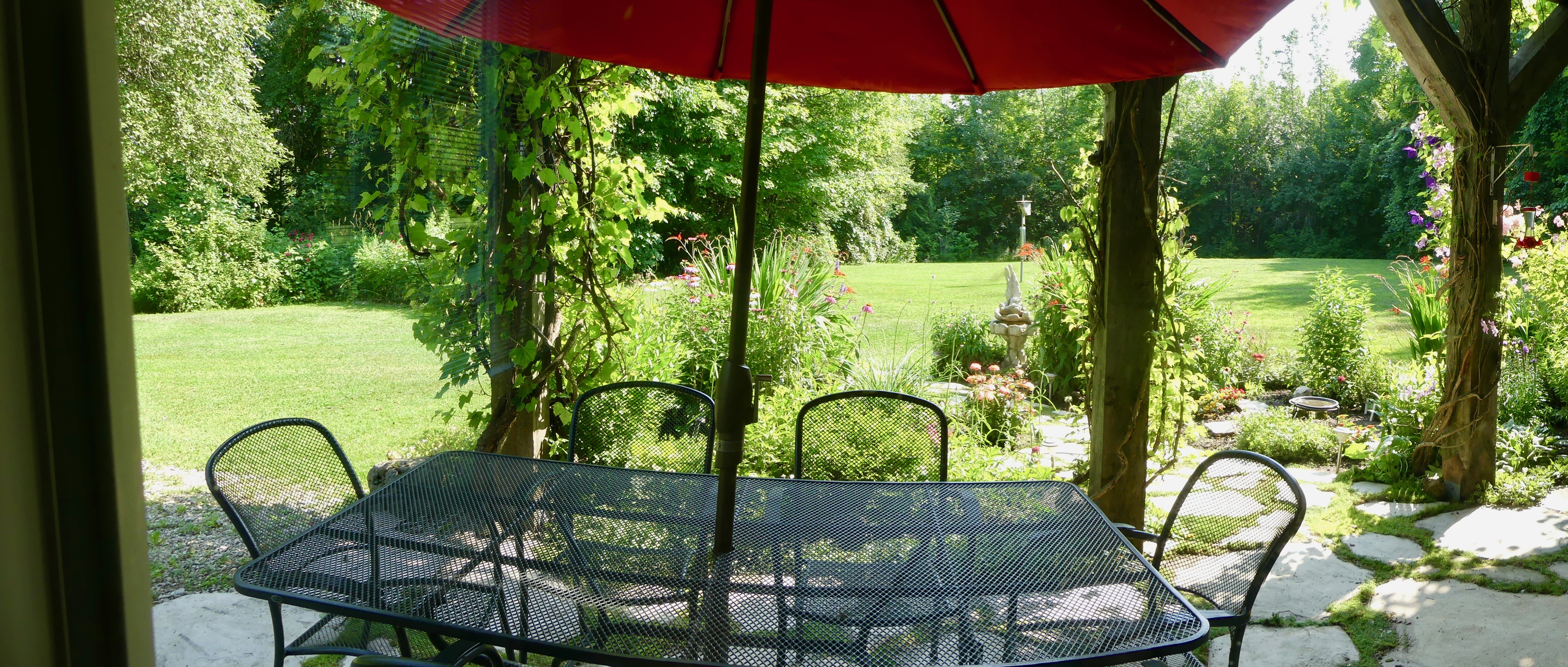 A view of the gardens from the patio