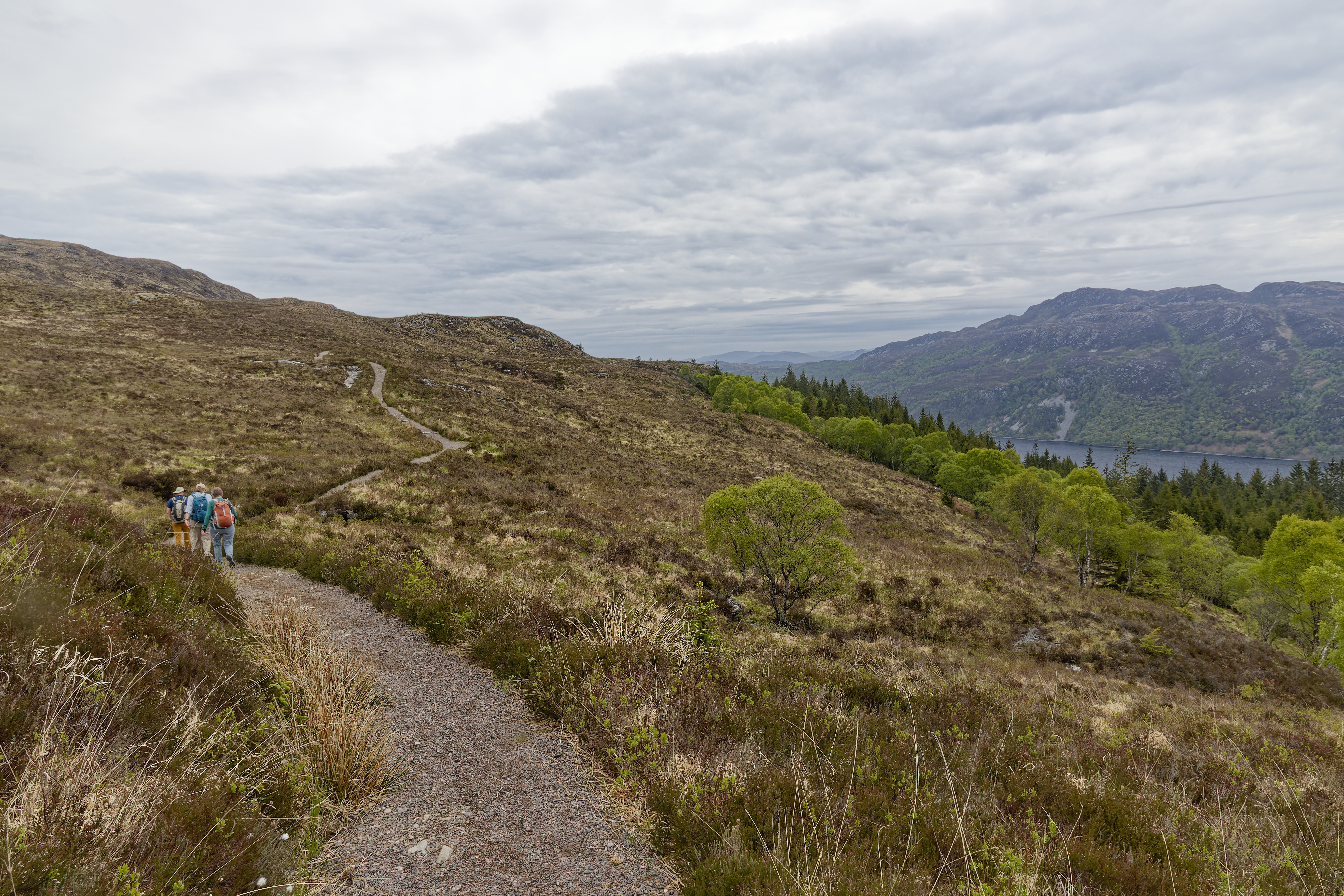 IMG_3688_DxO.jpg