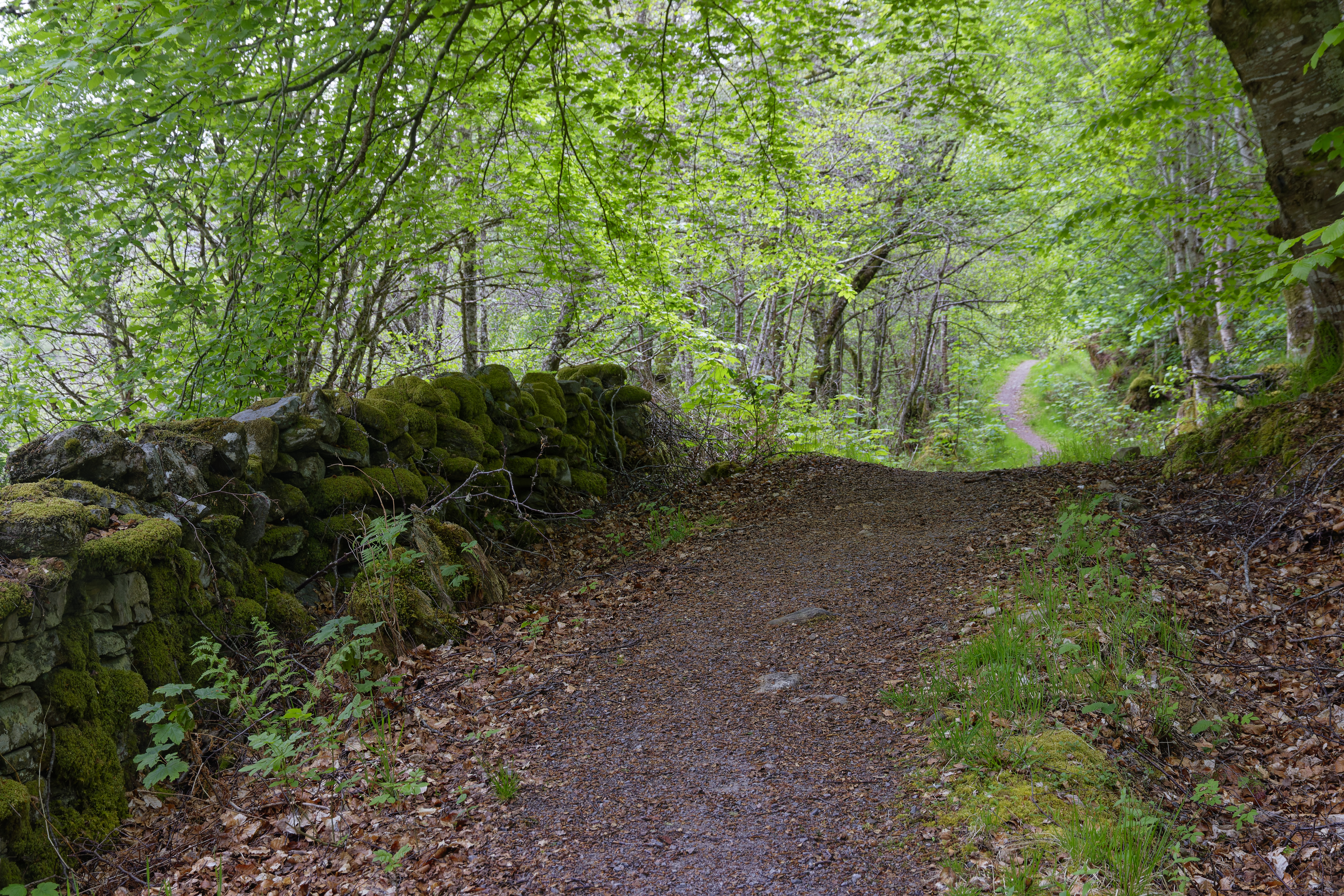 IMG_3712_DxO.jpg