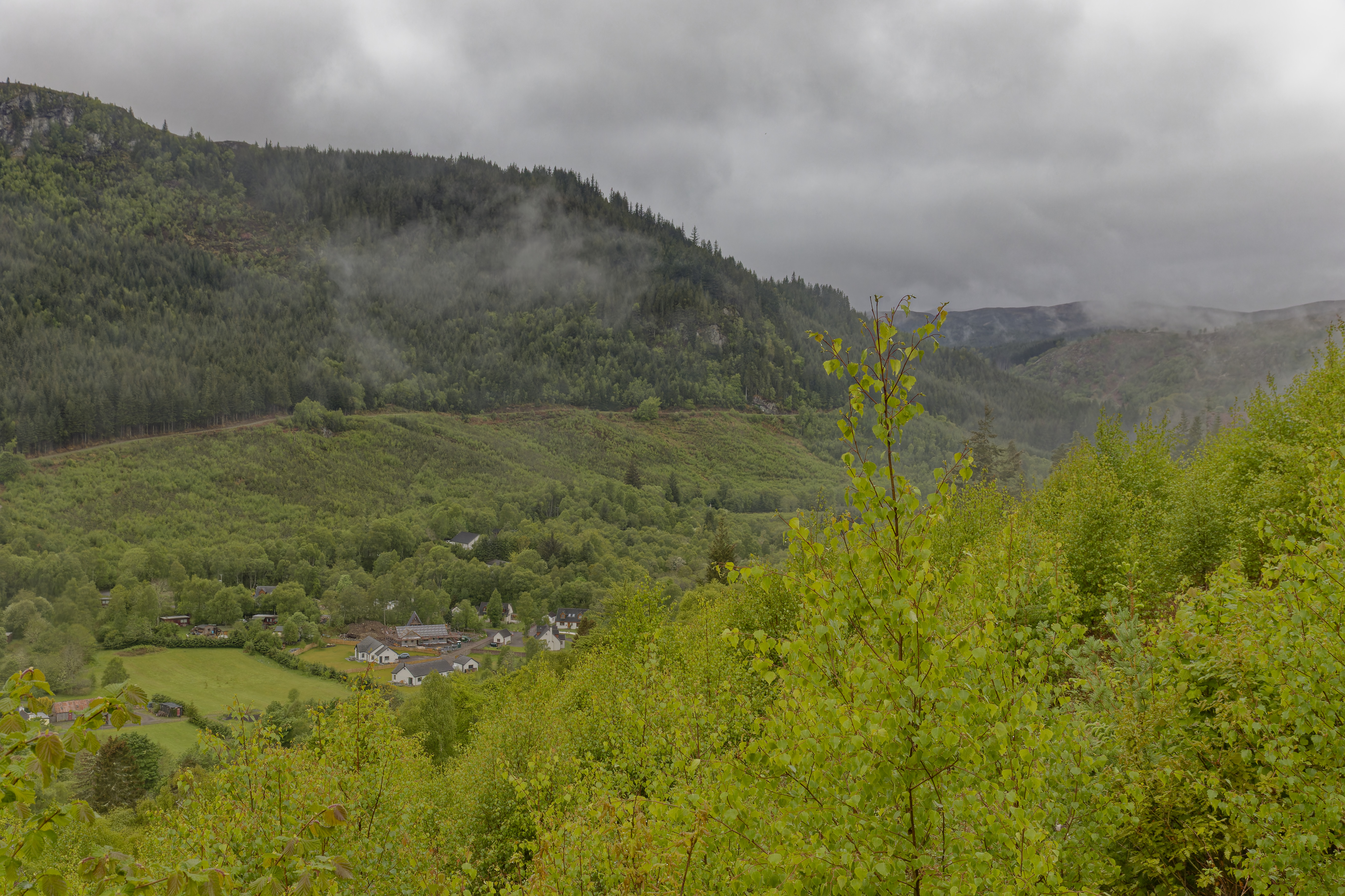 IMG_3725_DxO.jpg