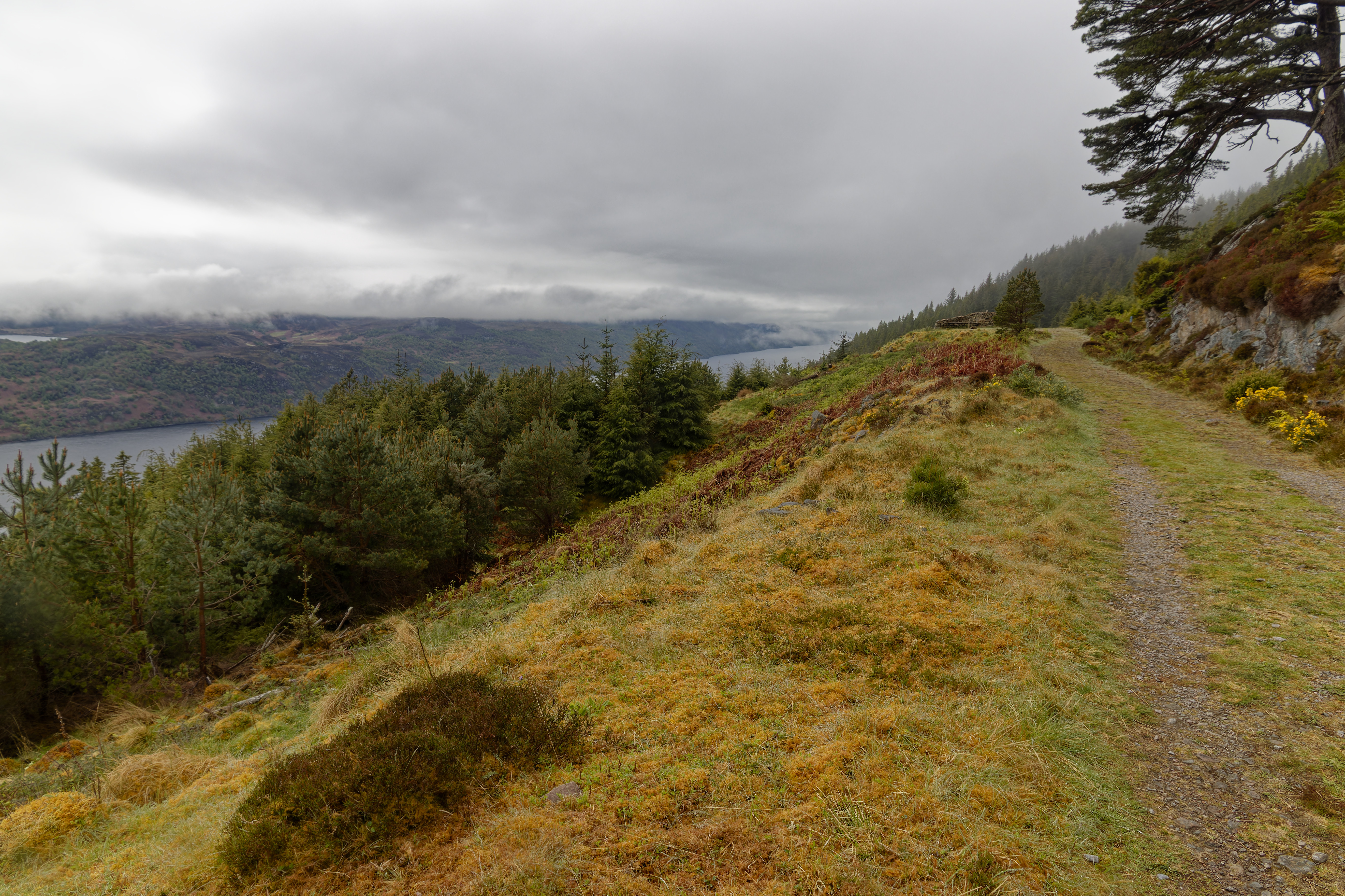 IMG_3742_DxO.jpg
