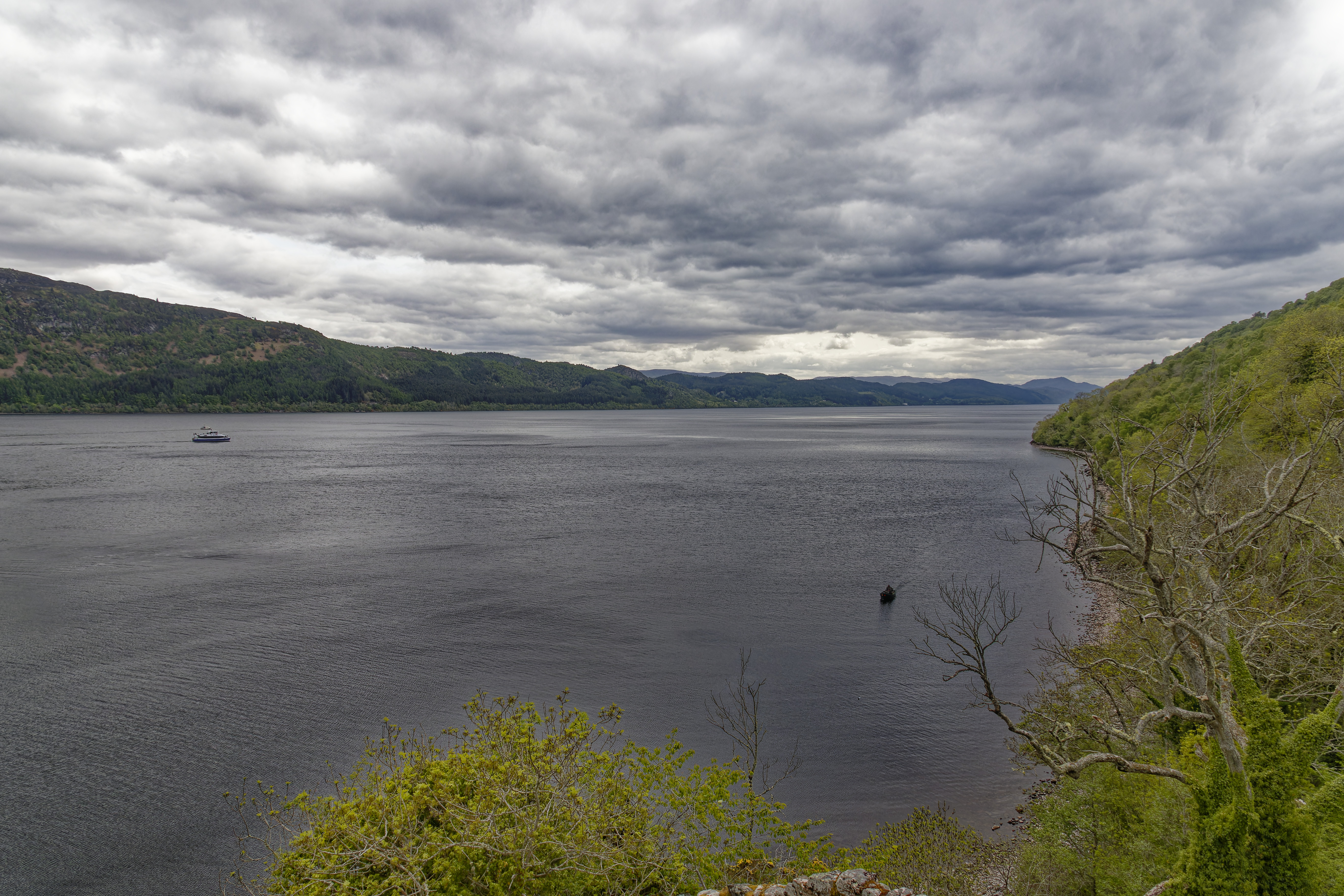 IMG_3794_DxO.jpg