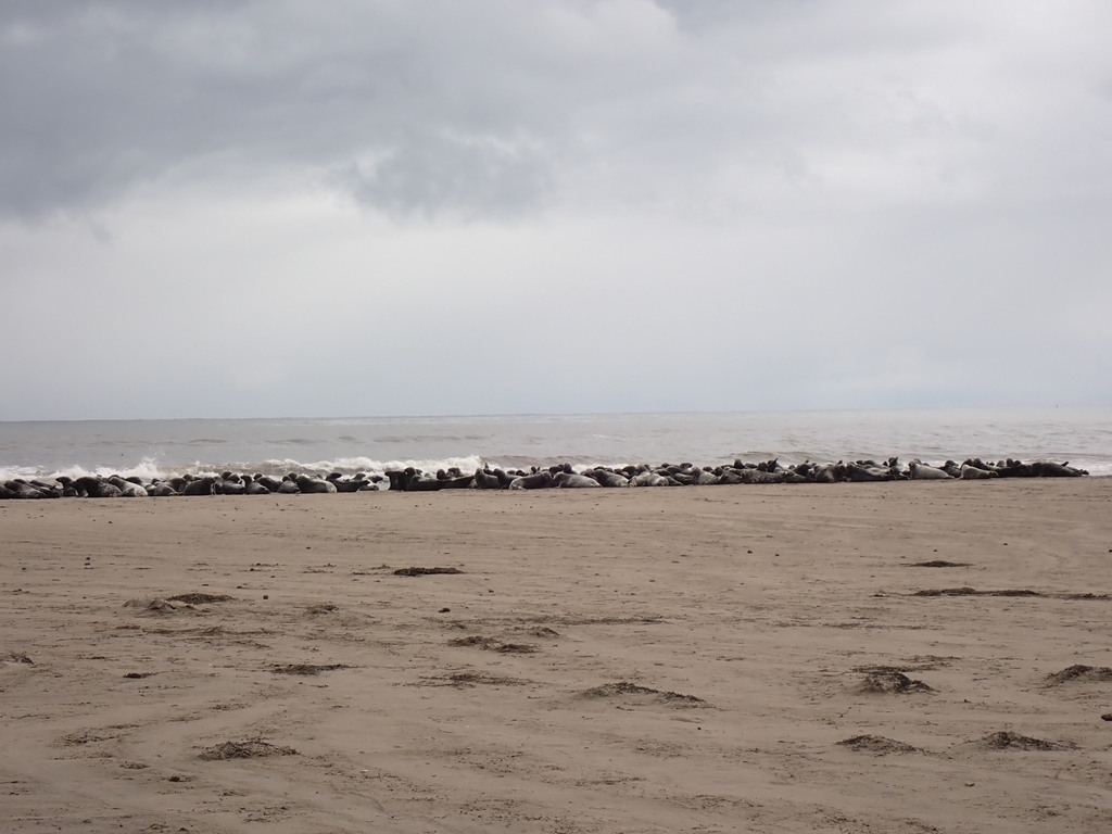 P9050517.JPG