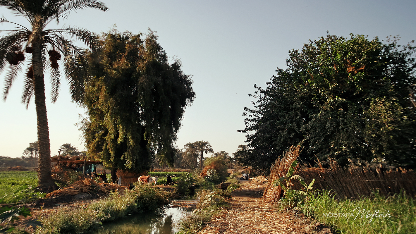 Showbak Village