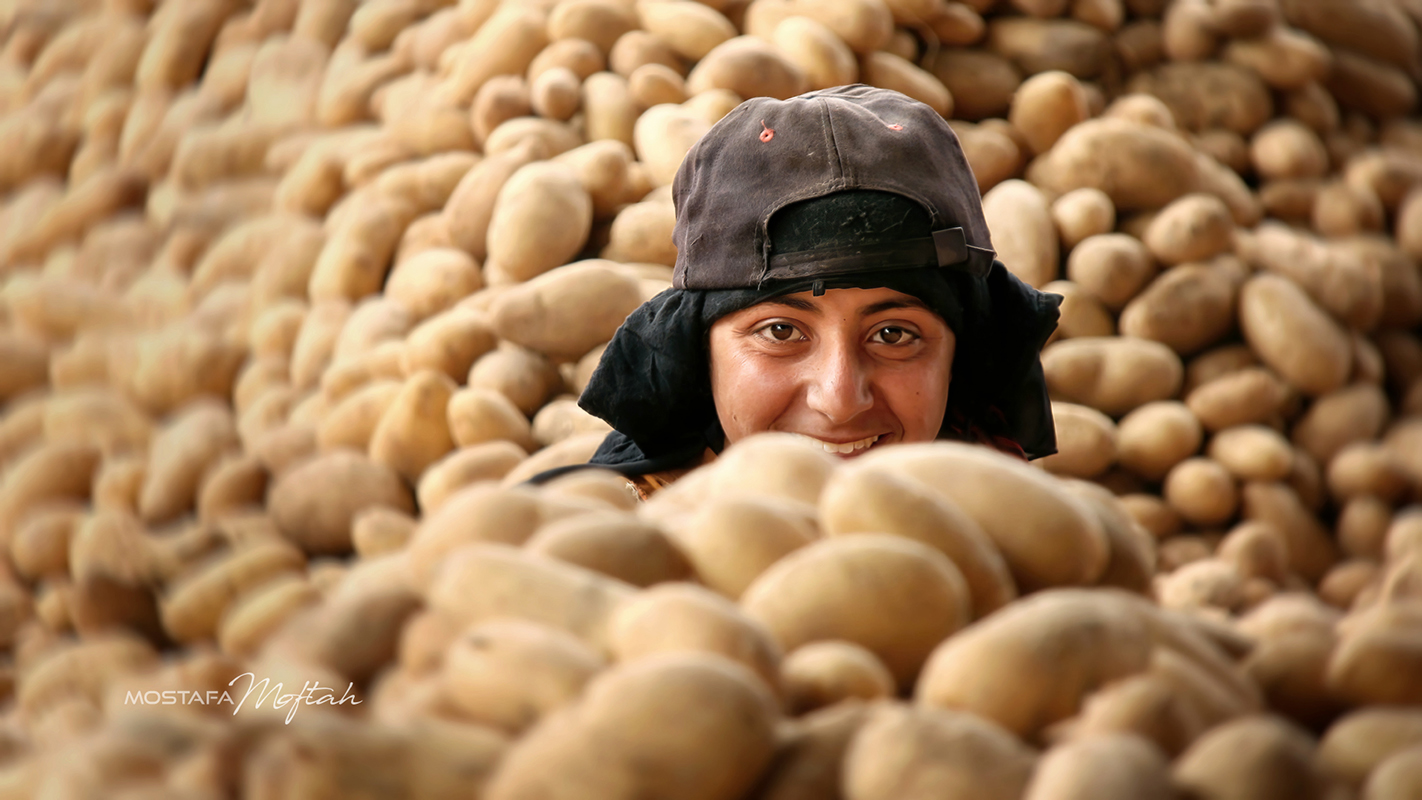 Village Girl Gathering Seed Potatoes