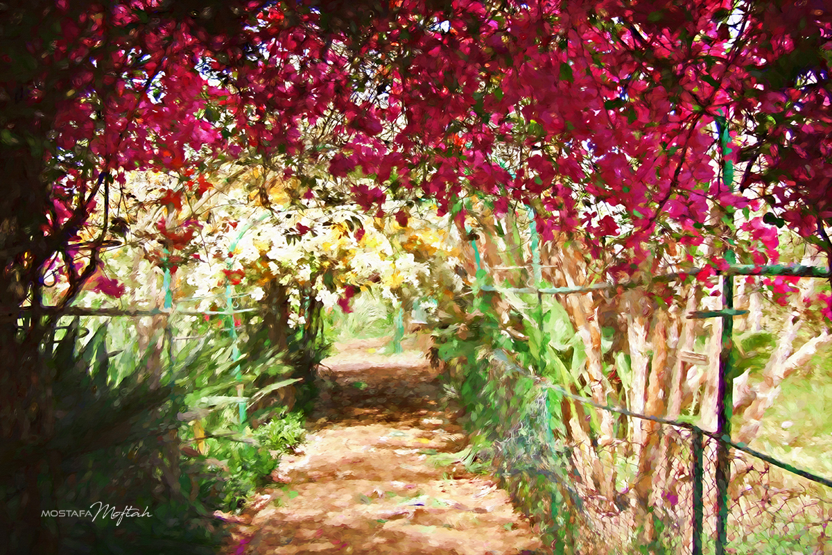 If I Was Monet