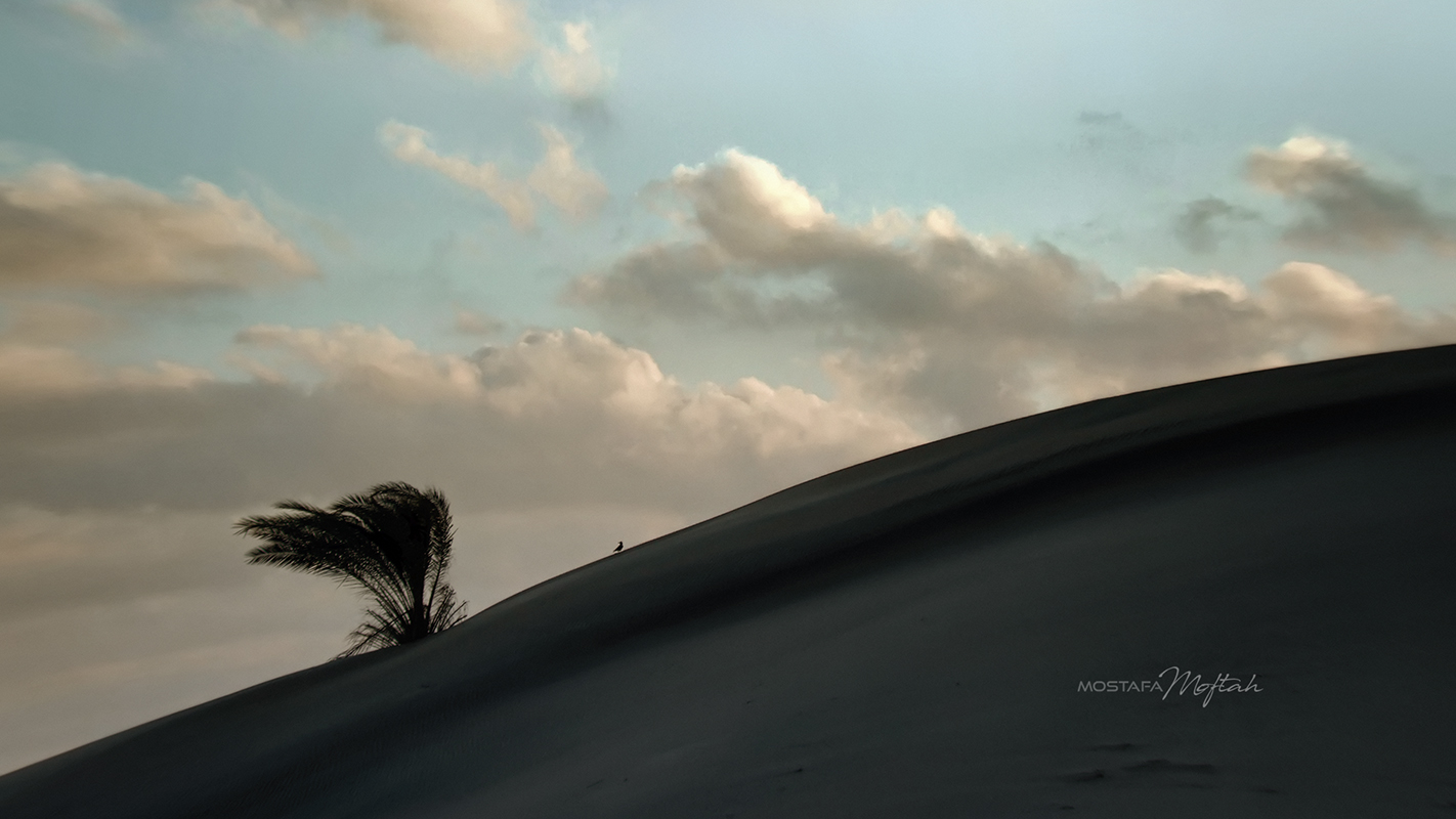 Balteem Coast | North of Egypt
