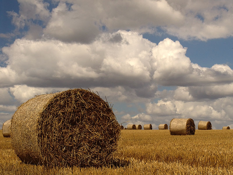 Straw Bales