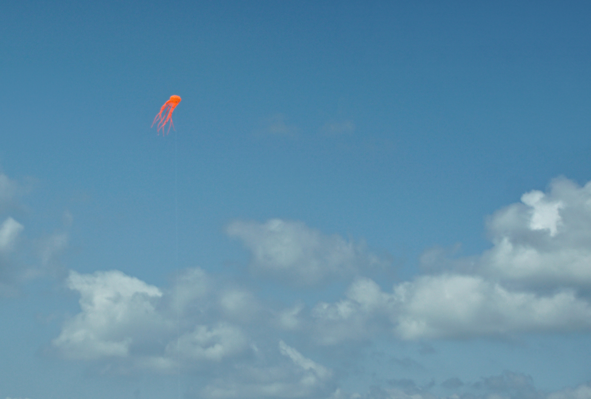 Orange Kite